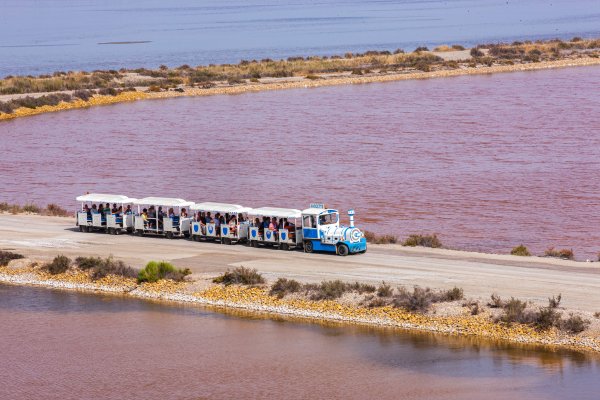 Le petit train des marais salants​_chetau_trevaly_entre-terre-et-sel_turballe_guérande
